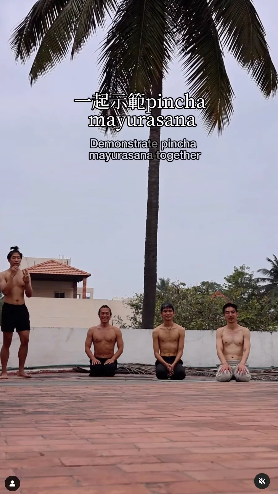 挑戰你的倒立技巧 - Pincha Mayurasana